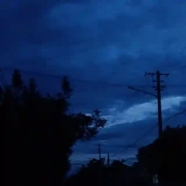 秋风のとおり道 