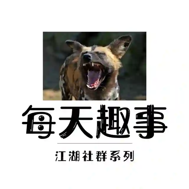 每天趣事 