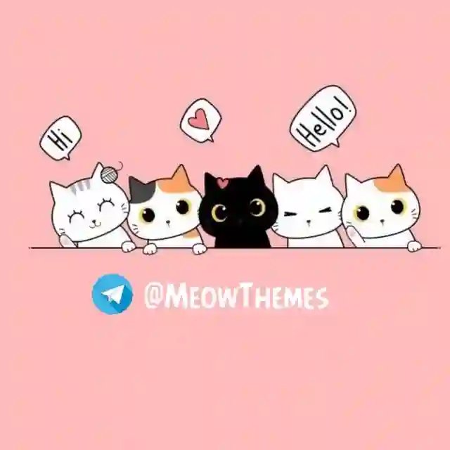 MeowThemes 