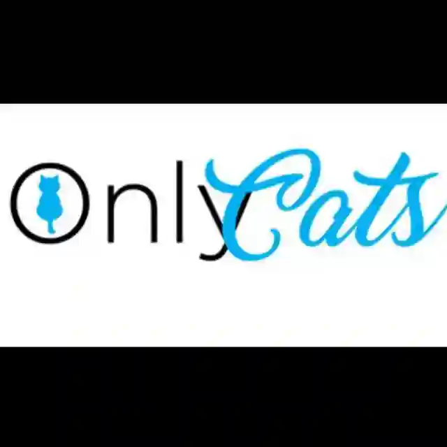 𝔾𝕒𝕥𝕠𝕤 😻 ℂ𝕒𝕥𝕤 🐈‍⬛ 