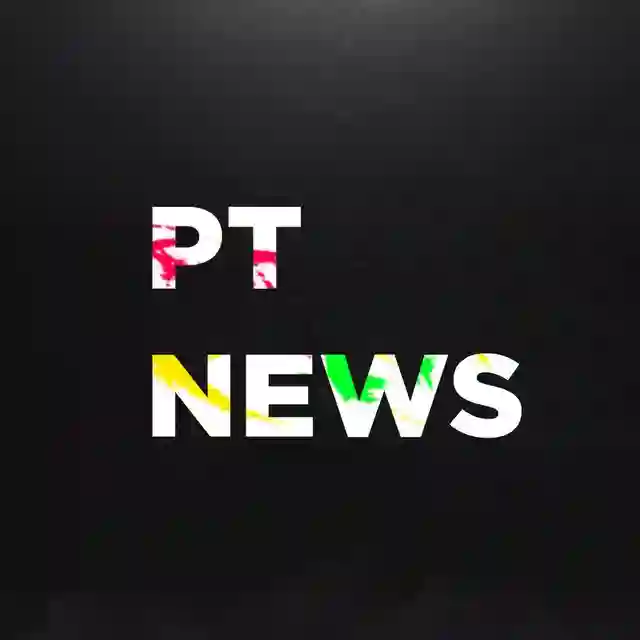 PT风向旗 