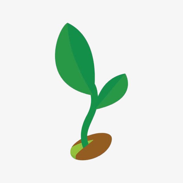 小众 App 交流群 