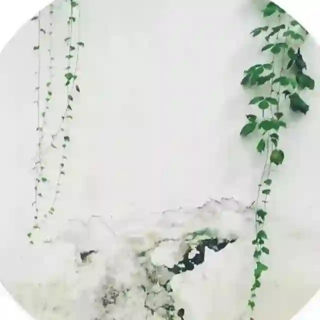 每日文章精选 