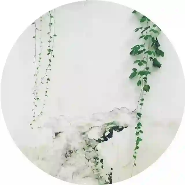 读书分享 