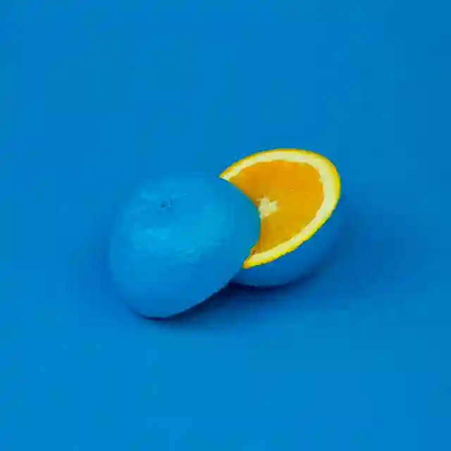 不求甚解 