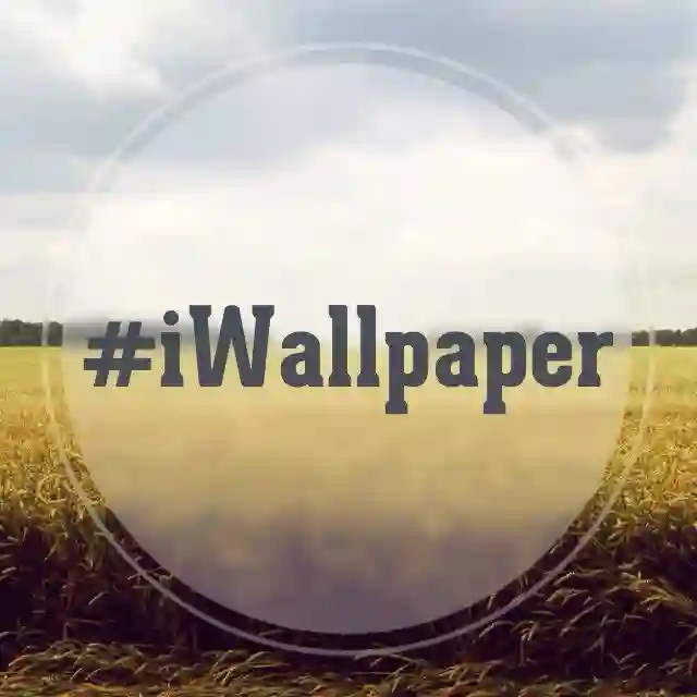 📱 iWallpaper | Обои для смартфона 