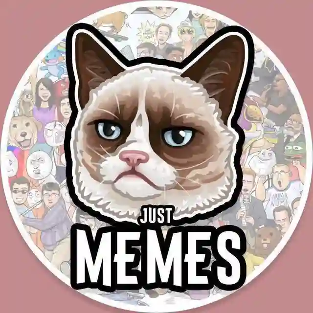 The Worst Memes 
