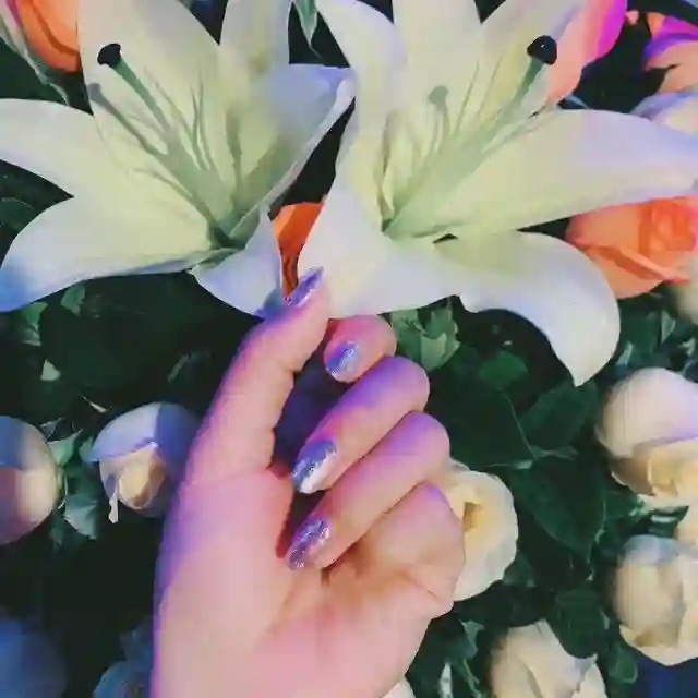 远上寒山石径斜 🅥 🌈🌝🐳🍗🏳️‍🌈 