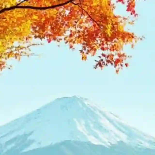 Reddit 精选 